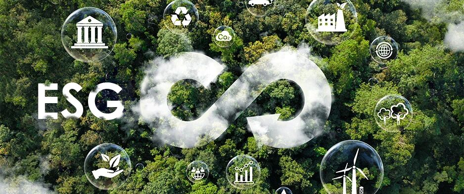 1760498174151425.jpg 1760498174151425.jpg